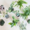 Groene Mini Plantenbox