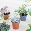 Groene Mini Plantenbox