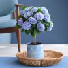 blauwe Hortensia magical op stam