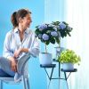 blauwe Hortensia magical op stam sfeerbeelden
