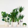 Groene Werkplekbox - 12 stuks