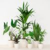Groene Werkplekbox - 12 stuks