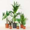 Groene Werkplekbox - 12 stuks