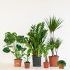 Groene Werkplekbox - 12 stuks
