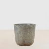 Palma plantenpot