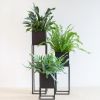 New-York-trio-3 1