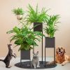 Pet-friendly-box-B-with-pets-1024