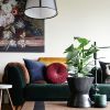 Philodendron Hastatum care