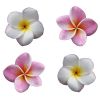 Plumeria
