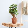 Polysias-Fabian-p12-Lifestyle 1