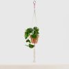 Macrame Roze
