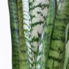 Makkelijke Plantenbox (3 stuks)
