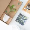 Sequoia-sempervirens-kust-mammoet-boom-coast-red-wood-tree-Brievenbus-bomen-boompjes-duurzaam-sustainable-groen-cadeau-gift-letterbox-trees-unique-gift-bloompost800-4 1