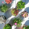 Tuin-kneusjes-box-6-scaled