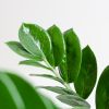 Musthave Plantenbox - 4 stuks