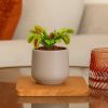 mini pot boedapest grijs kopen