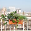 Balkon-planten-box-1024