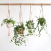 hangplanten set