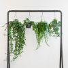 Hangplantenbox-1024
