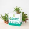 katvriendelijke planten