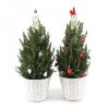 kerstboom met verlichting