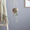 Kokodama-ceropegia-string-of-hearts-haning-pot-6-1024