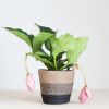 Lissabon-zwart-L-medinilla-1024