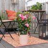Mandevilla-senderi-sfeer-1024-1