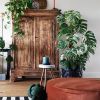 Monstera Variegata