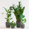 Musthave Plantenbox - 4 stuks