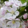 Thumbnail 6000-102-scaled-e1711727175387 1