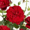 Thumbnail 6000-19-scaled-e1712321274458 1