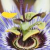 Thumbnail 6000-25-scaled-e1710420894468 1