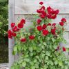 Thumbnail 6000-27-scaled-e1719221633959