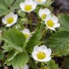 Thumbnail 6000-36-scaled-e1715173830206 1