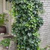 Thumbnail 6000-40-scaled-e1712323453694 1