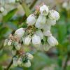 Thumbnail 6000-44-scaled-e1711379218804 1