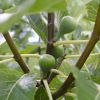 Thumbnail 6000-48-scaled-e1711730326724 1