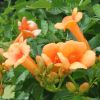 Thumbnail 6000-58-scaled-e1711119327218 1
