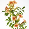 Thumbnail 6000-59-scaled-e1711119242759 1