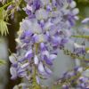 Thumbnail 6000-66-scaled-e1710452611115 1