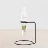 Tissue-culture-plantje-houder 1 1