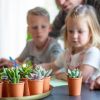 Vader dag plantje- 1024 -11