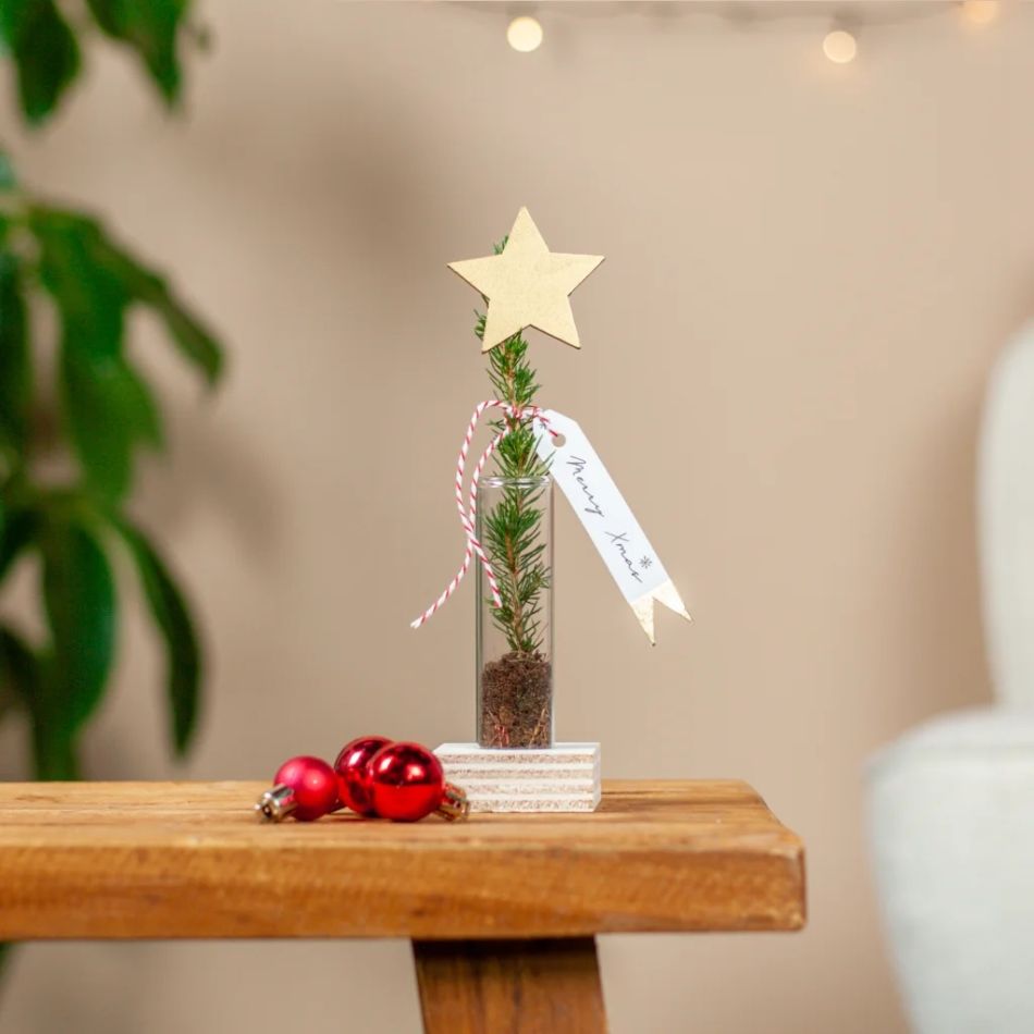 Kerstboomstek