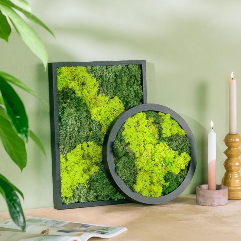 mosschilderij duo