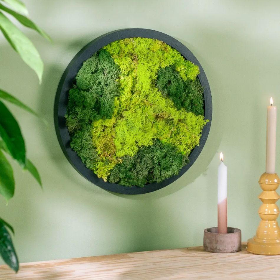 Mosschilderij rond