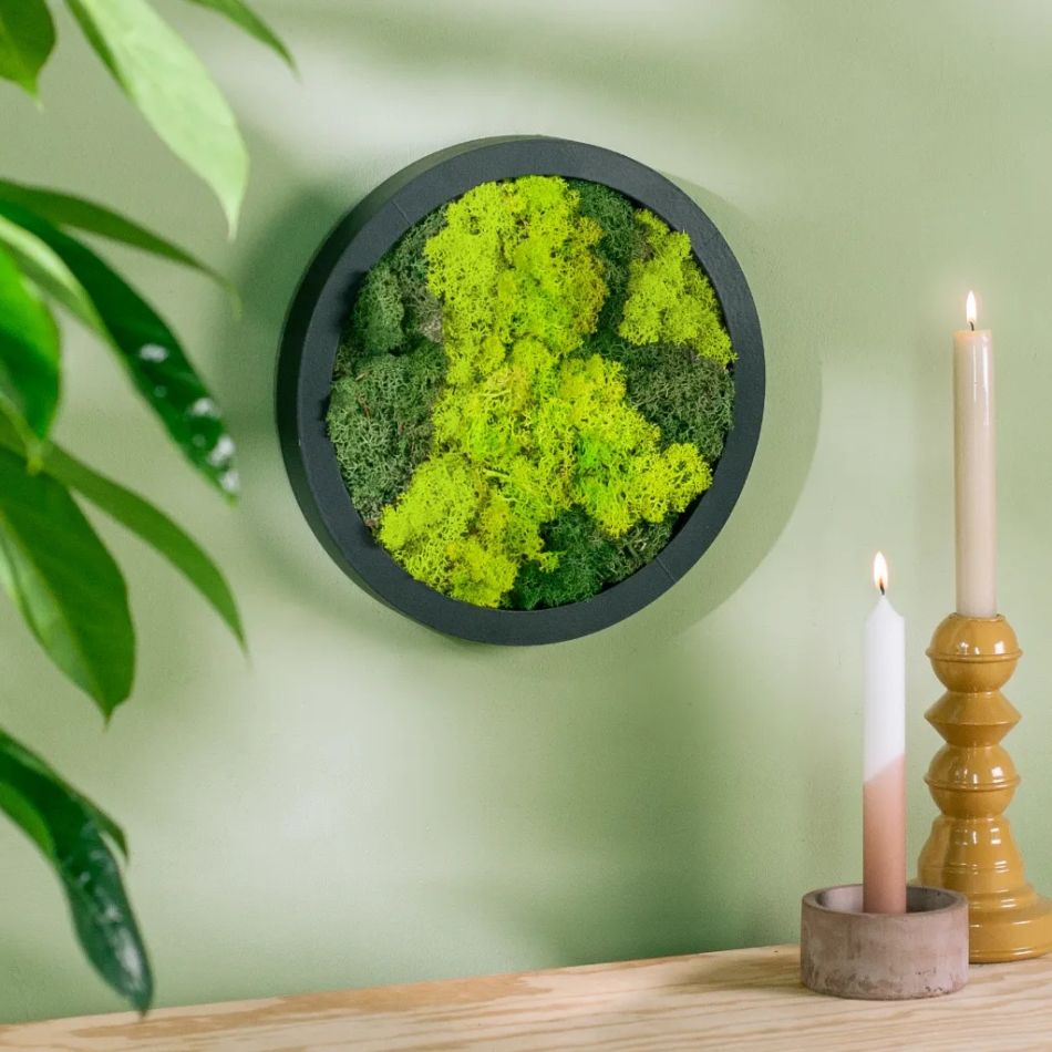 mosschilderij rond kopen