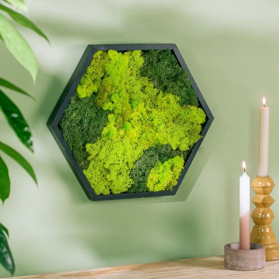 mosschilderij zeshoek kopen