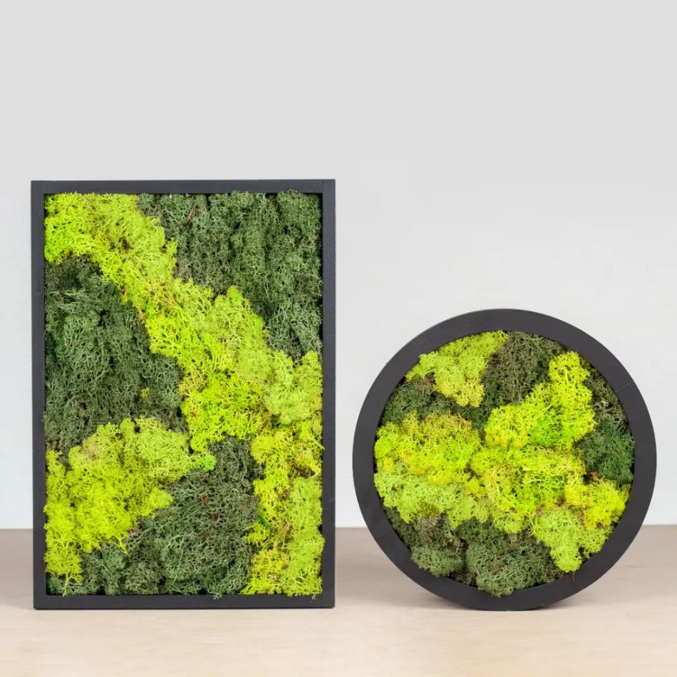 mosschilderij duo mix neutrale achtergrond