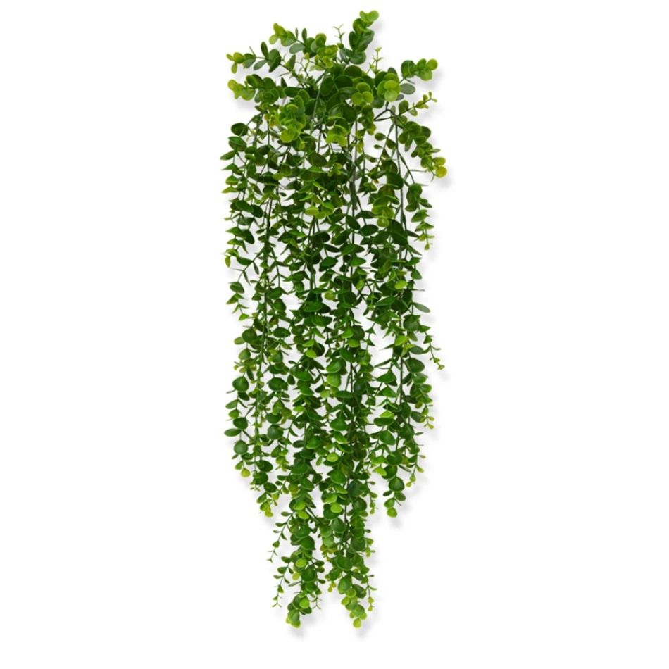 202702 eucalyptus hanger pl 70-1